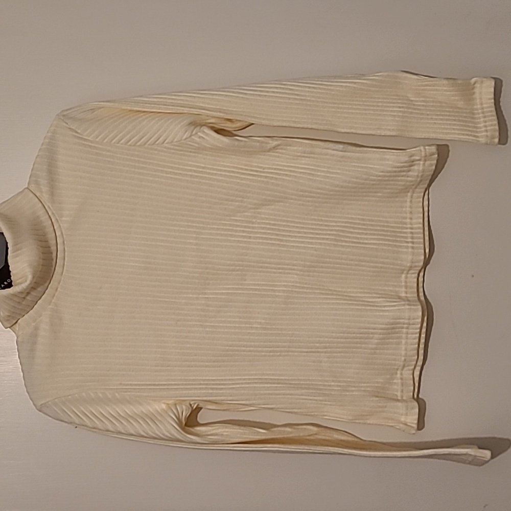 NWT Carolyn Taylor ribbed turtle neck